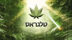 טלגראס: הסיפור המלא מאחורי רשת סחר הקנאביס שמשגעת את המשטרה