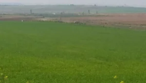 בעקבות התלונות בחדשות 10: צה"ל החל לחפש מנהרות בעוטף עזה