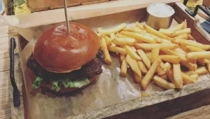 יוזמה חדשה: איסור פירסום ג'אנק פוד