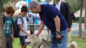 הצינור 26.02.18: נפרדים מקאיה
