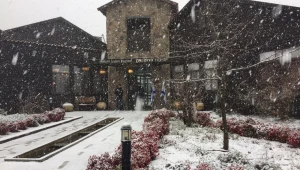 לראשונה בחורף הנוכחי: שלג בפסגות הרים בגולן