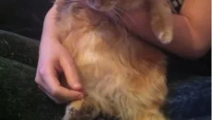 ג'ון בעז • המלצות מוזיקה לסוף השבוע