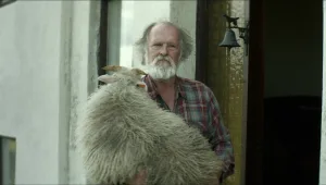 "איילים": נופים, כבשים ולא הרבה מעבר