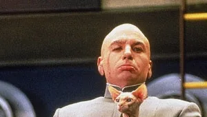 חתולים בצמרת • מלטפים גם בקולנוע