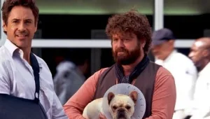 הסדרן: מה תראו השבוע בקולנוע?