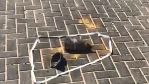 פגז טנק שנורה מסיני התפוצץ במושב בני נצרים; אין נפגעים