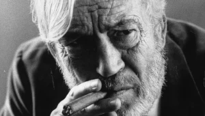 מה צפוי לכם בפסטיבל חיפה?