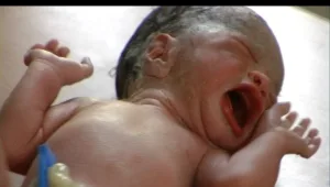 "גוגל בייבי" זכה בפרס בפסטיבל שנגחאי