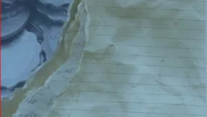 הספר שמנסה לפצח את חידת הזיכרון