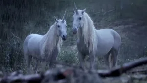 ויראלי: מדוע נכחד חד הקרן? (אל תגלו את הסוף)