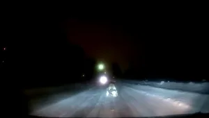 ויראלי: לא תאמינו מה קפץ מהמשאית הזו