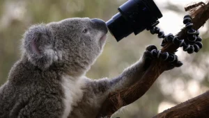 למה לא כדאי לכם לצלם את הילדים שלכם?