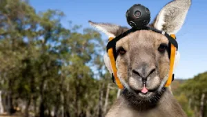 גוגל מפציצה בדיחות לאחד באפריל: חיפוש בחרוזים, יוטיוב על DVD ומפות 8 ביט