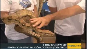 הישרדות אפריקה: לחיות 12 יום בתנאי שטח