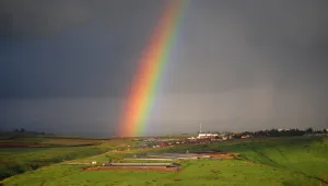 להיט או פלופ? מה כדאי לדעת לפני שרוכשים קרקע חקלאית