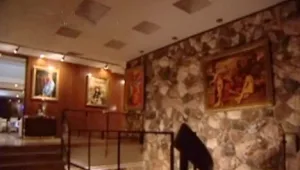 "לא רק בשביל מדינה": האחוזה של פלאטו שרון בשווי 32 מיליון שקלים ממתינה לקונה