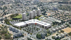 גינדי נגד גינדי: שרונה מול פרויקט השוק הסיטונאי