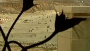 לבקש כוס סוכר מבבו קובו? צפו בדירה בהרצליה פיתוח בשווי 10 מיליון דולר