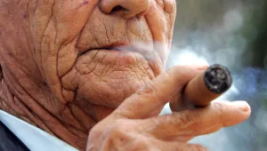 מרוסיה באהבה: "קניון האוליגרכים" באילת נפתח