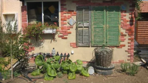 נעים להכיר: הבית שהוא גם מוזיאון