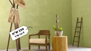 סודות הנדל"ן: אילו סוגי טיח צבעוני קיימים היום בשוק?