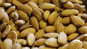 יין, ריצה ושקדים: 3 מחקרי בריאות שישנו את המחשבה שלכם