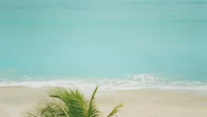 אחרי סופ"ש קשה: איך יודעים שהים מסוכן?