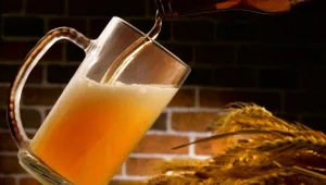 מחקר משמח יגרום לכם לרצות לשתות בירה יותר מתמיד