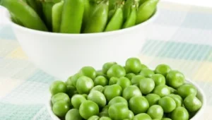 איך אפונה עשויה לעזור לכם לרזות מהר? 10 דברים שחייבים לדעת על אפונה