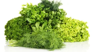 לבחור נכון: סודות הסידן