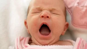 חיים בריא: 15.11.15