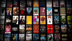 בהלה ברשת: האם תוכנת הקודי גורמת למוות משתמשיה?