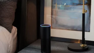 העוזרת הדיגיטלית אלקסה היתה ה "עדה" היחידה לרצח  בארה"ב