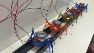 דוד מול גוליית: צפו ב-6 רובוטים קטנטנים גוררים רכב