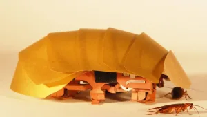 ביו-רובוטיקה: תיקנים בשירות הרובוטיקה?