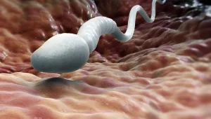 מצמרר! הקרב על הזרע של החייל שנפטר: ההורים רוצים להיות סבא וסבתא