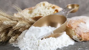 תורת הקמח • מה ההבדלים ומה הכי בריא?