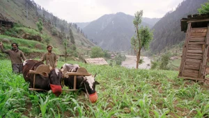 "חשש מטרור נגד יהודים בגבול הודו-פקיסטן לקראת יום הכיפורים"