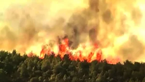 המשחק בין מכבי חיפה להפועל עכו נדחה ליום שני: "הראש לא כאן"