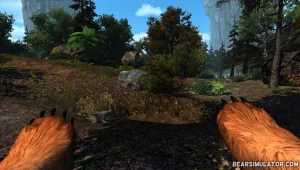 איך זה מרגיש להיות דוב?