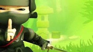 Mini Ninjas מגיעים