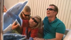 NVIDIA: "גם לנו יש תלת-מימד!"