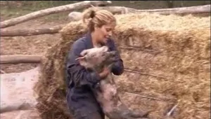 תנו לחיות לחיות נגד 'רשת': תכננו גרימת סבל