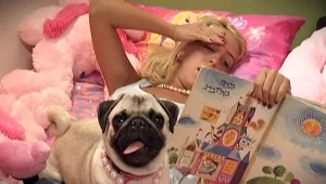 שיא ל"היפה והחנון": מזנקת ל-20.2%