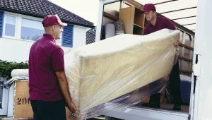 כך תמנעו מעקיצות של מובילים