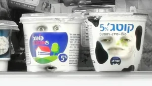 פירות המאבק: ירידה של 25%-35% במכירות הקוטג'