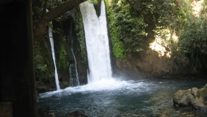 רץ ברשת: ללכת על המים