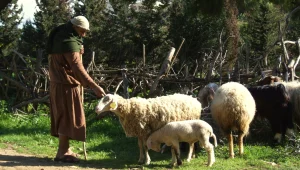 המלצה לטיול: נצרת ההיסטורית והמודרנית