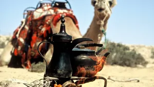 באנו לכאן מתחת לשמיים: נופש במאהל מדברי