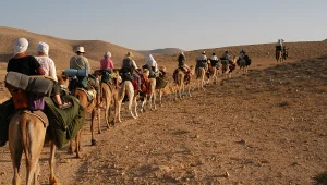 לגלות את הדרום: 10 אטרקציות בנגב